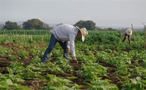 Qu Se Entiende Por Trabajo Forzoso Y Qu Industrias Lo Usan M S