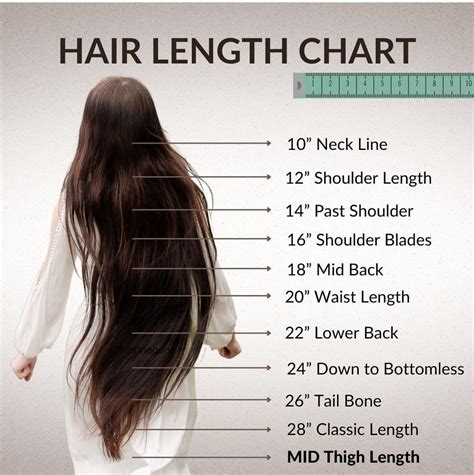 Pin On Hair Hair Length Chart Hair Lengths Short Scene Hair