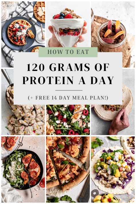 How To Eat 120 Grams Of Protein A Day Free Meal Plan Protein Meal