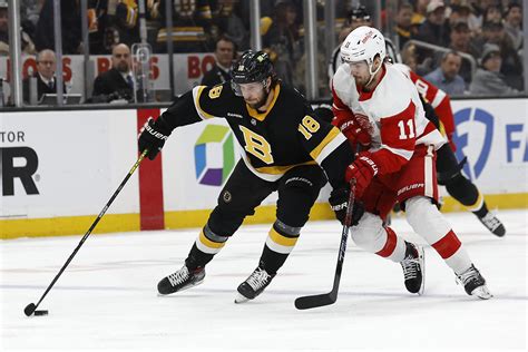 Bruins Become Fastest Team To Wins Beat Red Wings In Ot Reuters