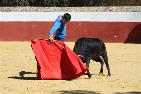 Club Internacional De Aficionados Practicos Taurinos Sevilla Espa A