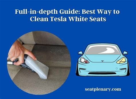 Best Way To Clean Tesla White Seats Full In Depth Guide Seat Plenary