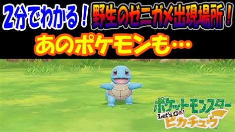 【ピカブイ】2分でわかる！野生のゼニガメ出現場所！あのポケモンも！ﾟﾛﾟ ゲームボーイまことのブログ