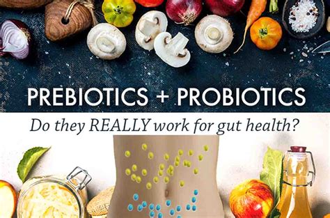 Why Are Probiotics Necessary for Gut Health? - PROBIOTICS UK