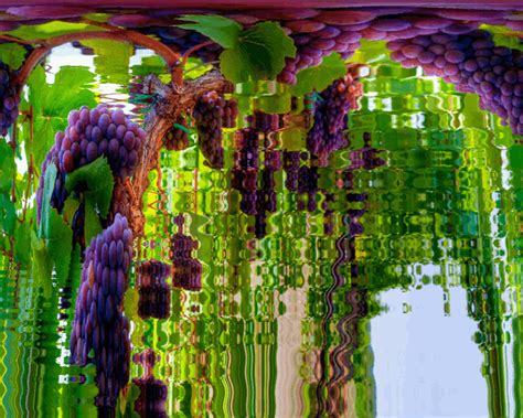 Waterfall Of Wine Grapes By Aim4beauty On Deviantart