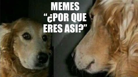 Memes ¿por Que Eres Asi🤣 Dilo Con Memes Youtube