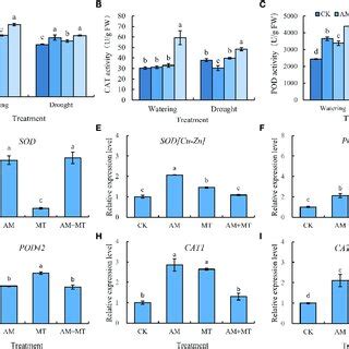 Changes Of Antioxidant Activity Of Sod A Cat B And Pod C And