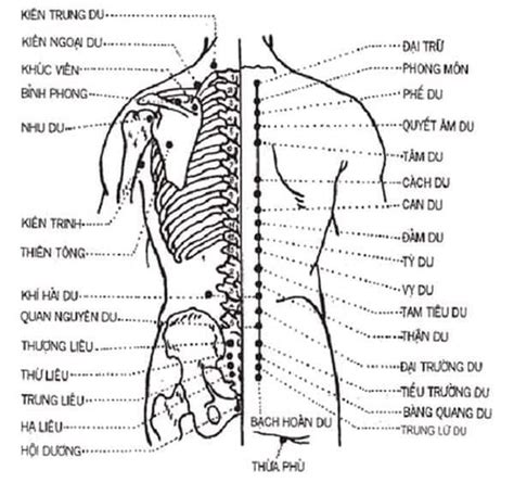 Cách Bấm Huyệt Chữa Bệnh đau Lưng Hiệu Quả Tức Thì