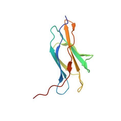 Rcsb Pdb Mpc The Crystal Structure Of A Fn Like Protein From