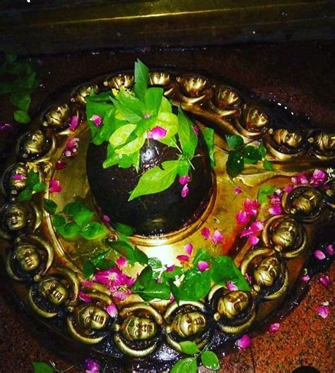 🙏om Namah Shivaya🙏 On Instagram “🙏🙏🌹🌹🌹🙇‍♂️🙇‍♂️🙇‍♂️om Namah Shivaya🙇‍♂️🙇‍♂️🙇‍♂️ ️ ️ ️🙏🙏🙏 ஓம் நம