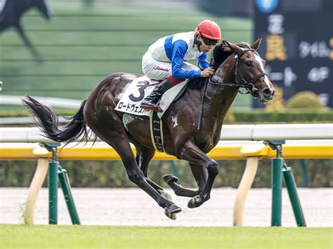 【京成杯】母の父ロードカナロアの重賞初制覇なるか ロードヴェスパーが一発狙う 競馬ニュース Netkeiba