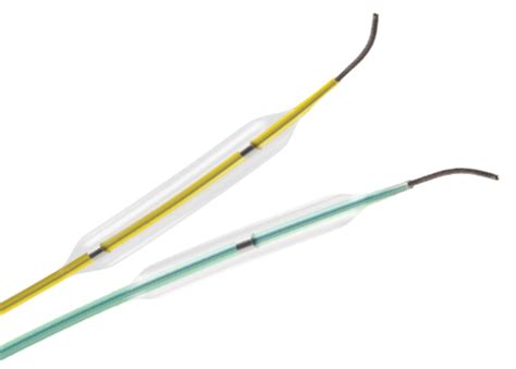 Takeru Ptca Balloon Dilatation Catheter