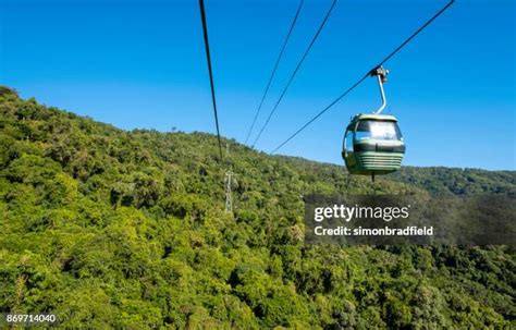 159 Rain Forest Aerial Tram Stock Photos High Res Pictures And Images