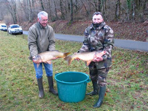 Construire Un Etang A Truite Infos Et Ressources