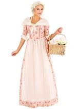 Colonial Dress Women S Costume Adult Historical Costumes