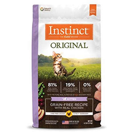 Best Grain Free Kitten Food in 2022 (With Reviews!)