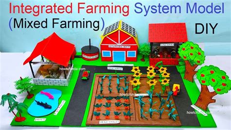 Integrated Farming System Ifs Model Project Mixed Crop For Science