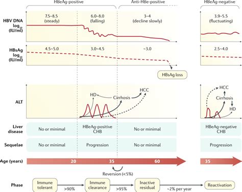 Clinical Utility Of HBV Surface Antigen Quantification In HBV E Antigen