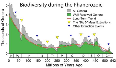 Phanerozoic Paleontology Wiki Fandom Powered By Wikia