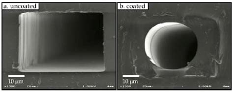 Scanning electron micrographs of cross-sections of (a) uncoated and (b ... 