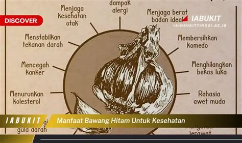 Temukan 7 Manfaat Bawang Hitam Untuk Kesehatan Yang Wajib Kamu Intip