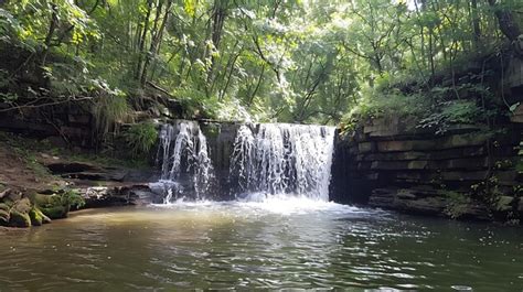 Pequena cachoeira em uma floresta a água é clara e o sol está brilhando