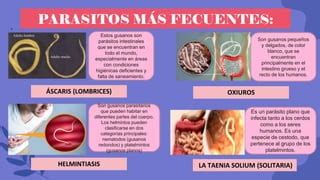 La Parasitosis Pptx