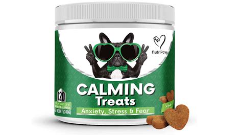 Best Calming Products For Dogs Treats Supplements And Beds