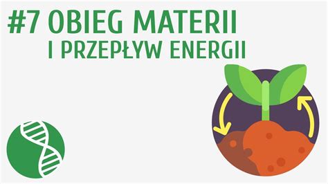 Obieg Materii I Przep Yw Energii Ekologia Youtube