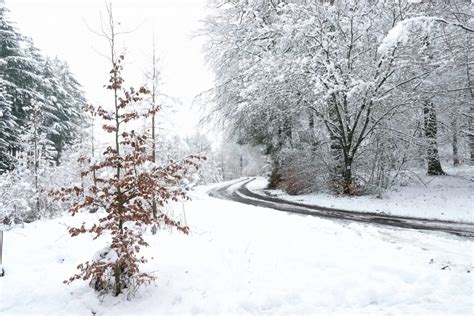 12 balades hivernales à faire en Belgique Trekking et Voyage