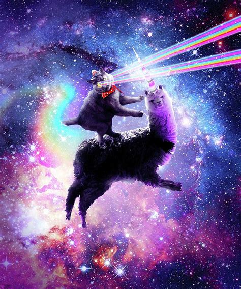 Laser Eyes Outer Space Cat Riding On Llama Unicorn Digital Art By