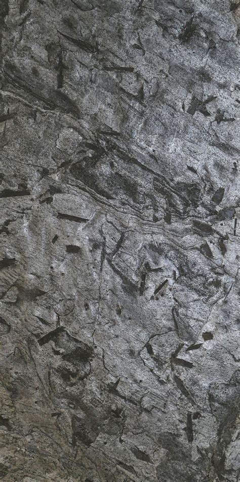 Feuilles de Pierre Classic | SLATE LITE
