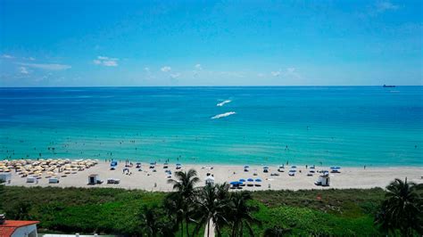 Miami Beach Resort & Spa, Miami - Book Hotel