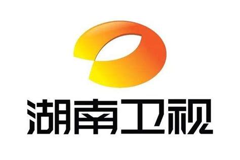 湖南卫视台标志logo图片 诗宸标志设计