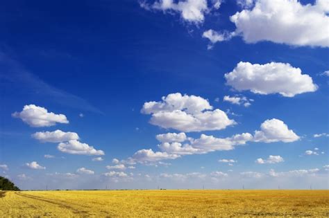 Camino En Campo Y Cielo Azul Con Nubes Hermoso Paisaje Foto Premium