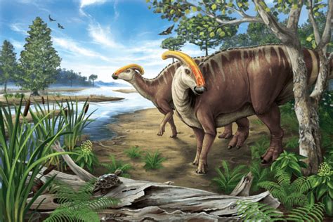 13 Types Of Duck-billed Dinosaurs That You Should Know