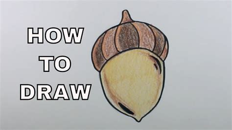 How To Draw Acorns