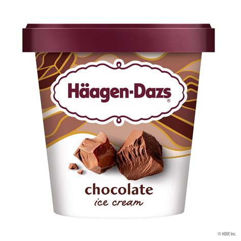 Haagen Dazs Chocolate Ice Cream 14oz