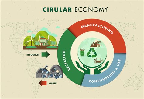 Circular Economy Vector Illustration With Circle Infographic Vectors Graphic Art Designs In