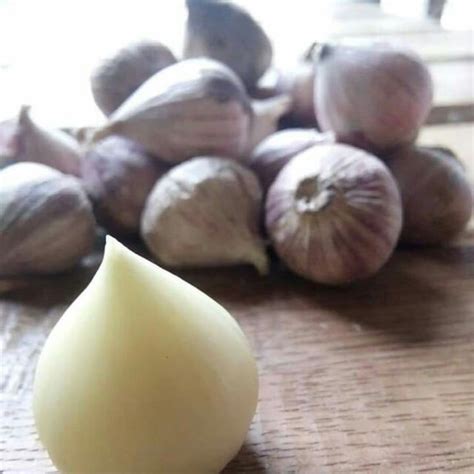 Bawang Tunggal Untuk Lelaki 🔥senarai Lengkap Khasiat Bawang Putih