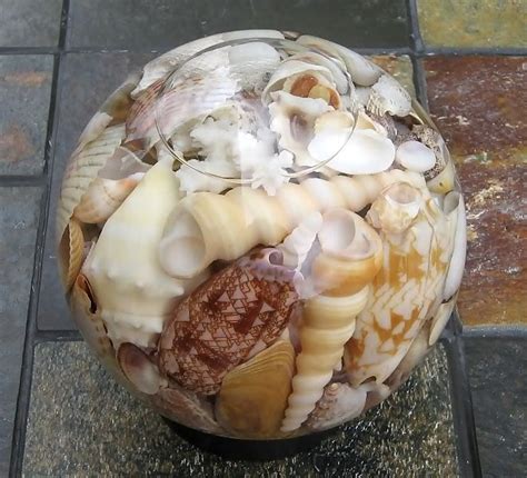 17 Best images about Sea Shell Art on Pinterest | Sea shells, Shells ...