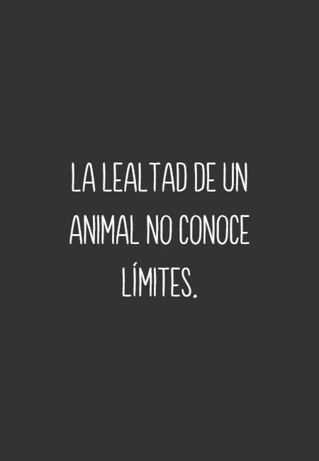 Introducir 60 Imagen Frases De Lealtad Con Imagenes Abzlocal Mx