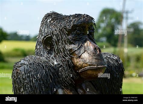 Gorilla Sculpture On Display At The British Iron Work Centre Tourist