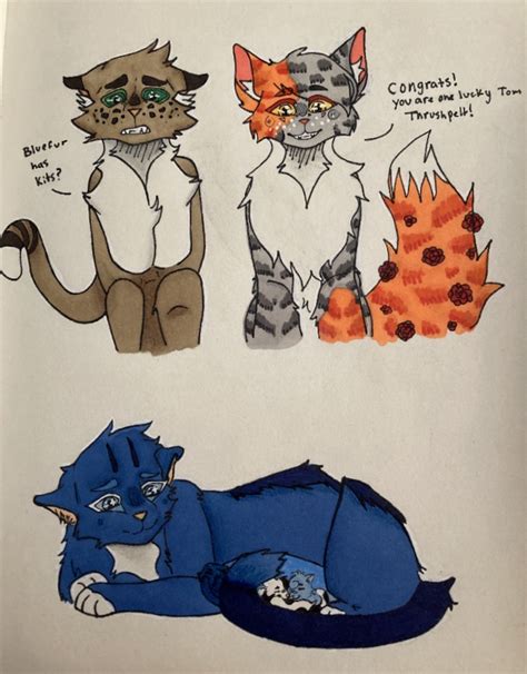 Thrushpelt fail | Warrior Cats