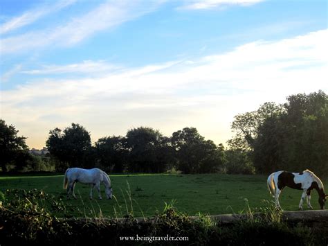 White Horse, Westbury, England | Being Traveler