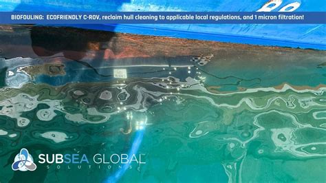 Enhancing Environmental Standards Through Biofouling Services