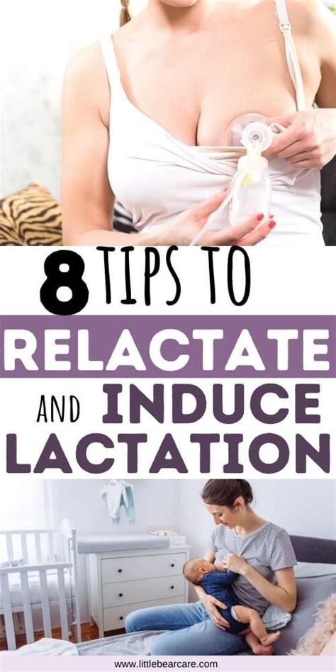 Relactating And Inducing Lactation 8 Steps And Tips Breastfeeding