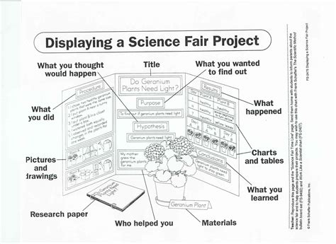 Science Fair Project Display Board Science Fair Projects Science Fair Board Science Fair