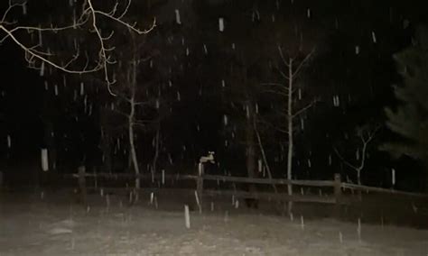 Gentle Nighttime Snowfall in Woodland Park, Colorado – Weather Traker