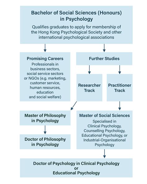 Bachelor Of Social Sciences Honours In Psychology Admissions Faculty Of Education And